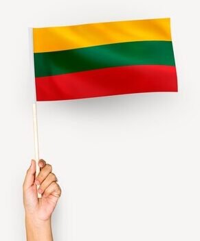 person-waving-flag-republic-lithuania_53876-13700